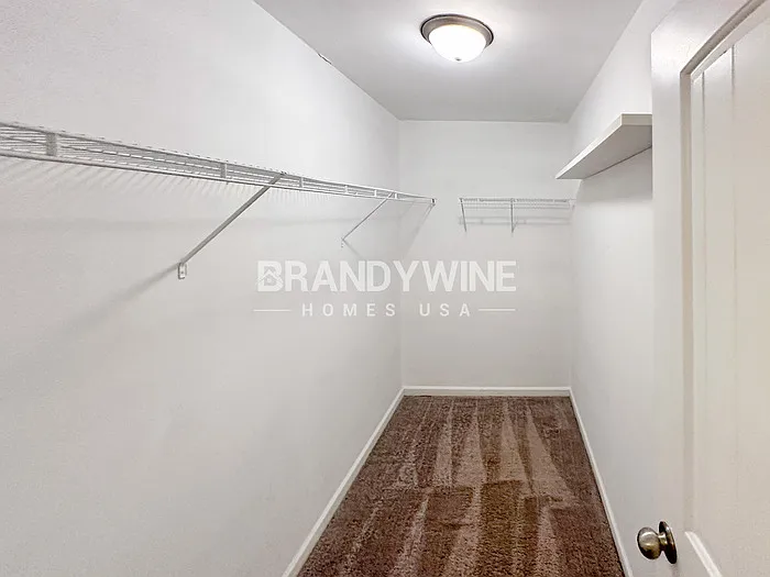 1916 Old Dogwood — Photo 26