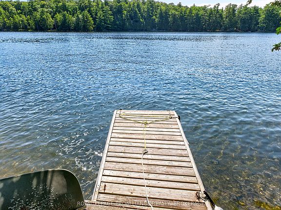 5th image of 20 Porcupine Ln