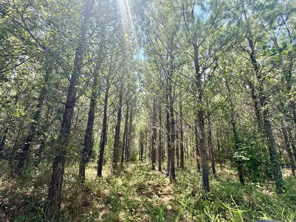 Hale County Rd #32, Akron, AL 35441