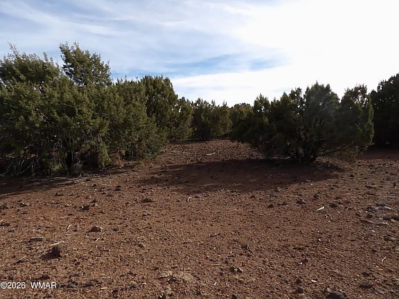 3rd image of LOT-14D N 3411th