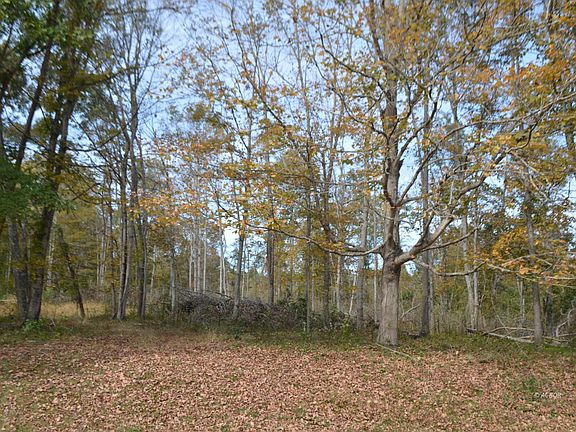 4th image of 49556 Manuel Rd