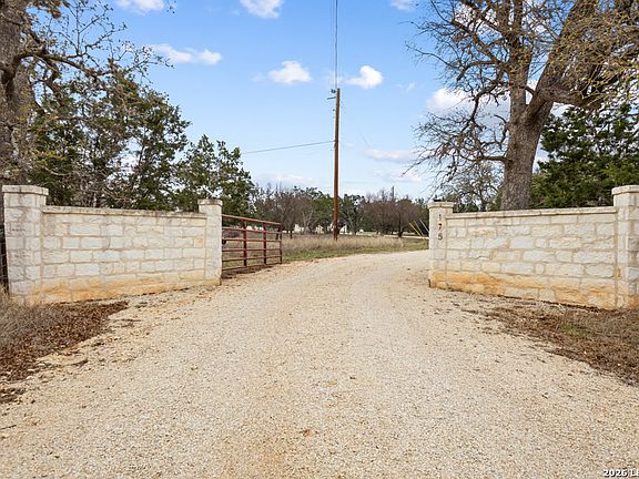 3rd image of 175 Pine Tree