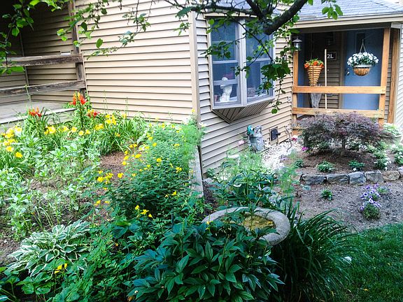 Lovingly tended garden