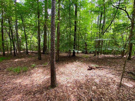 5th image of 0 Mount Olive Rd