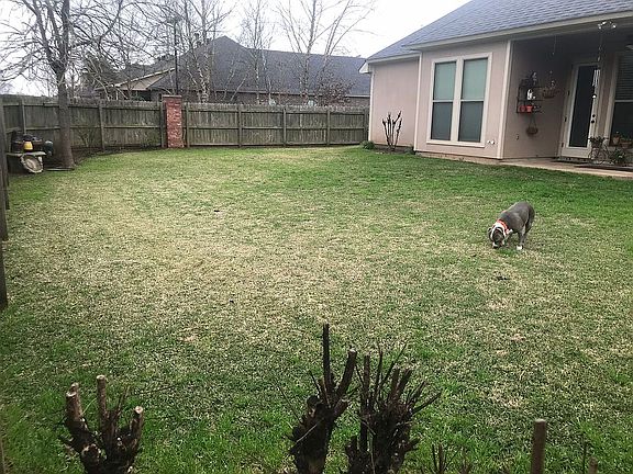 Back yard with fence