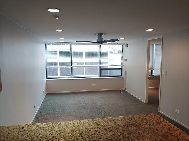 233 E Erie St #2409 — Photo 6