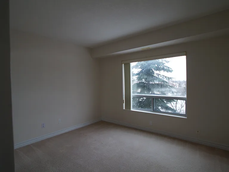 237 Auburn Dr — Photo 19