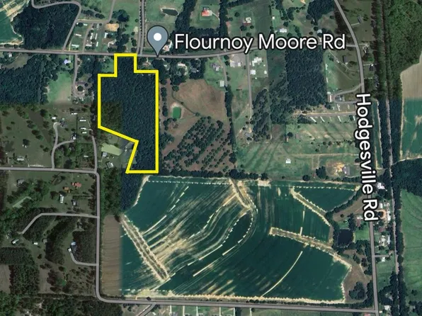 0 Flournoy Moore Rd, Dothan, AL 36301