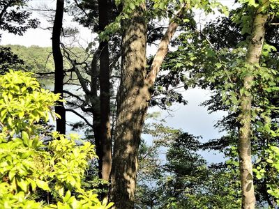 63 Lake Shore Rd, Natick, MA, 01760