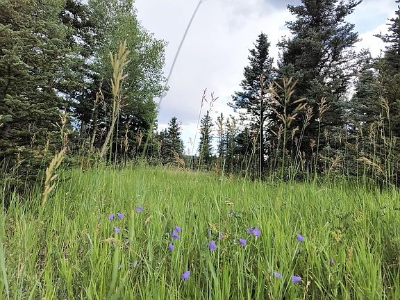 2nd image of Lot 83 Elk Meadow