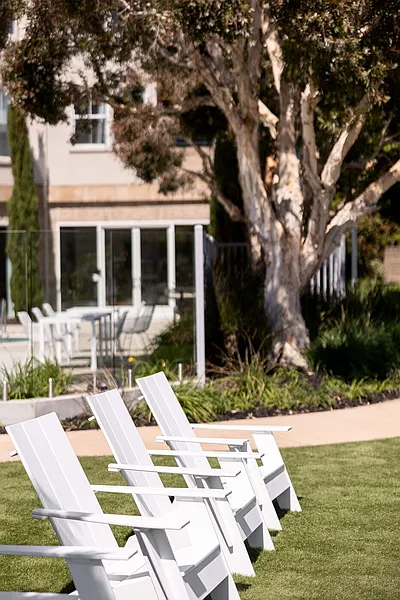 Thumbnail 17