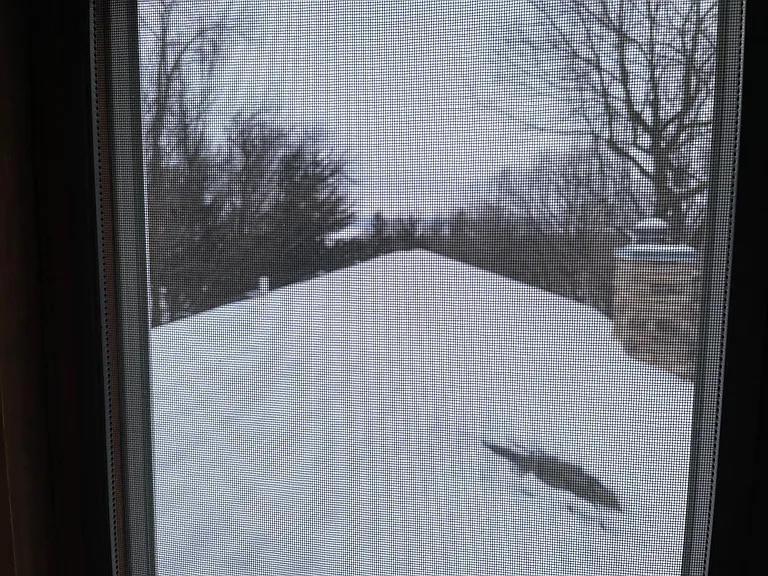 144 Acorn Dr — Photo 28