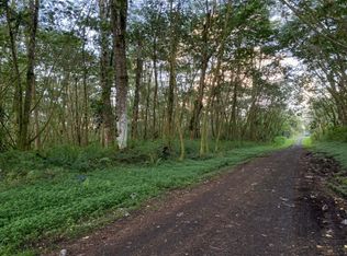 Lehua Rd LOT 554, Pahoa, HI 96778