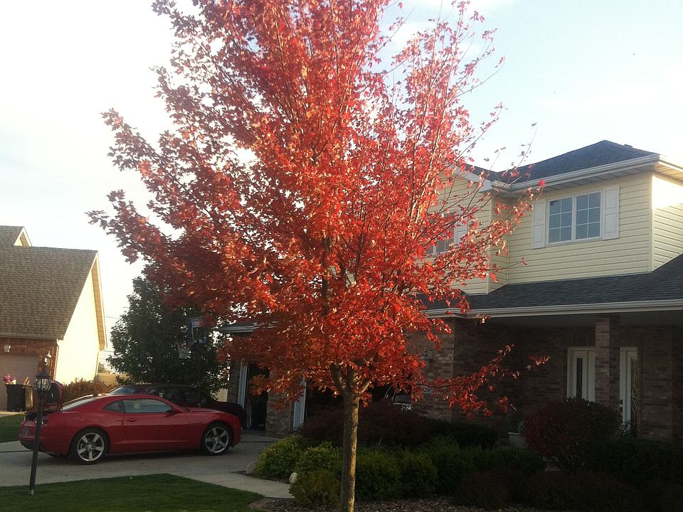 FaLL