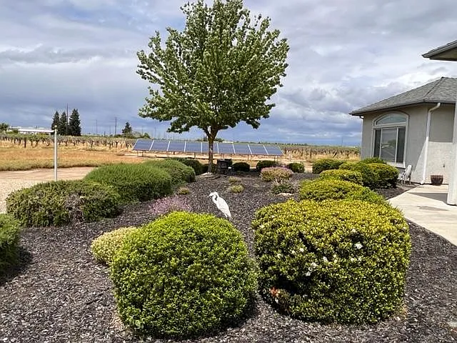 3 bed, 2000 sqft, $2,750 — Photo 3