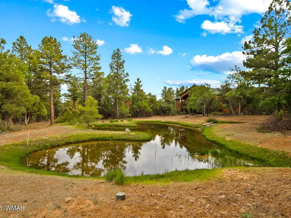 4401 W Shaggy Bark Rd, Show Low, AZ 85901