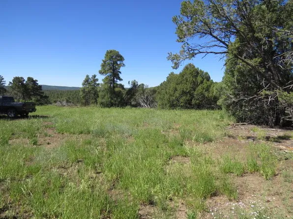 Timber Canyon Rd, Trinidad, CO 81082