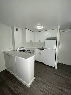 Rented by Voro NYC | media 20