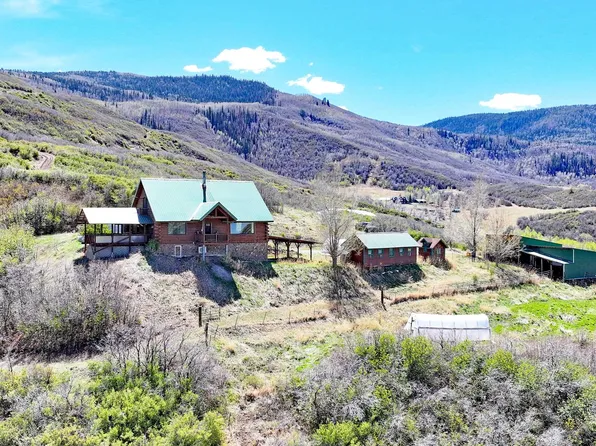 10822-60 3/4 Rd #4, Collbran, CO 81624