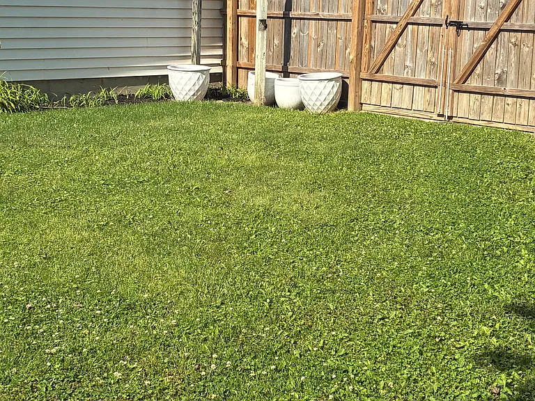 385 Riviera Ct — Photo 15