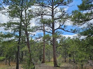 Timber Canyon Rd #176, Trinidad, CO 81082