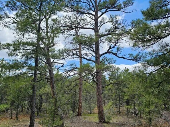 Timber Canyon Rd #176, Trinidad, CO 81082