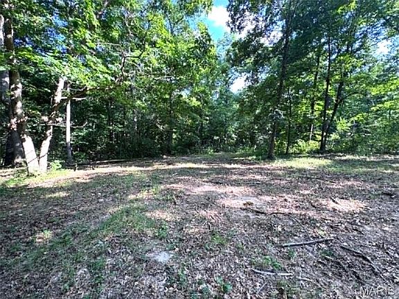 5th image of 43121 Deerview Dr