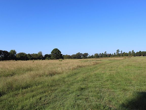 3rd image of 808 Joe Davis Rd