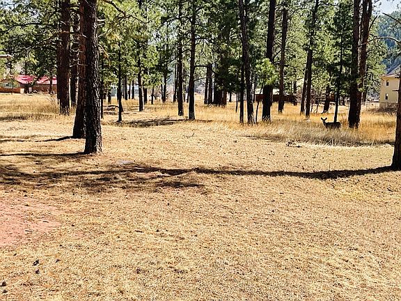 4th image of Stonewall Country Clb Lot 7