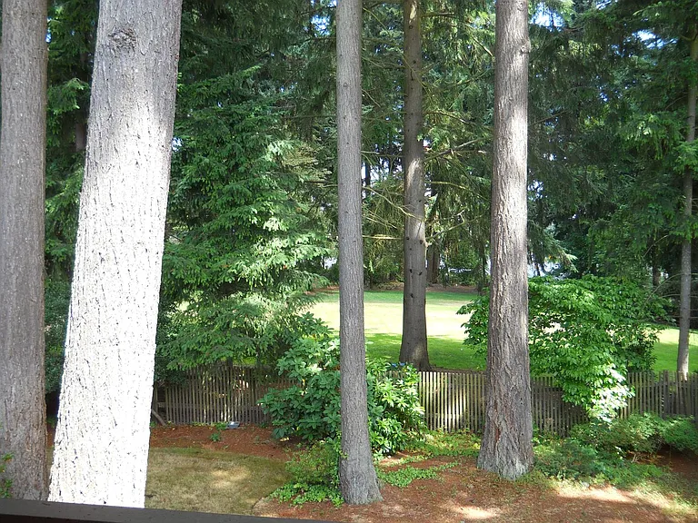 3801 Bridgeport Way W — Photo 18
