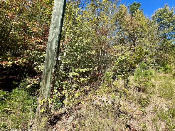 P 20.15 Creek Hollow Way, Sevierville, TN 37876