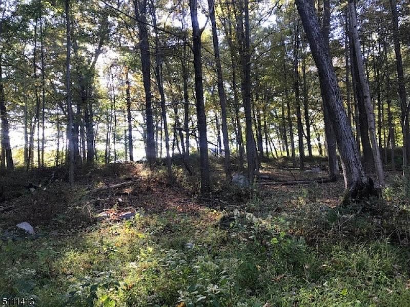 2nd image of 2 Deer Wood Dr