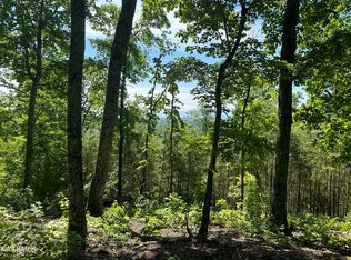 Bobbie Jean Ln, Seymour, TN 37865