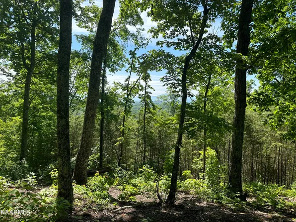 Bobbie Jean Ln, Seymour, TN 37865