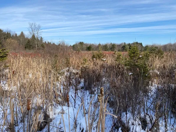 0 Number 1 Rd, Canaseraga, NY 14822