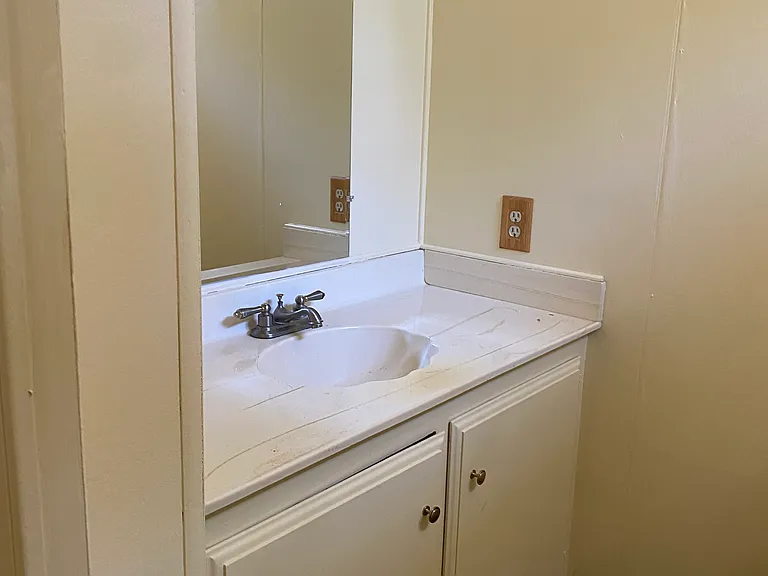 Master bathrooom sink
