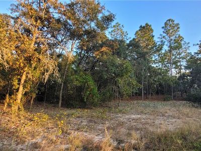 11377 N Kenney Loop, Citrus Springs, FL, 34433