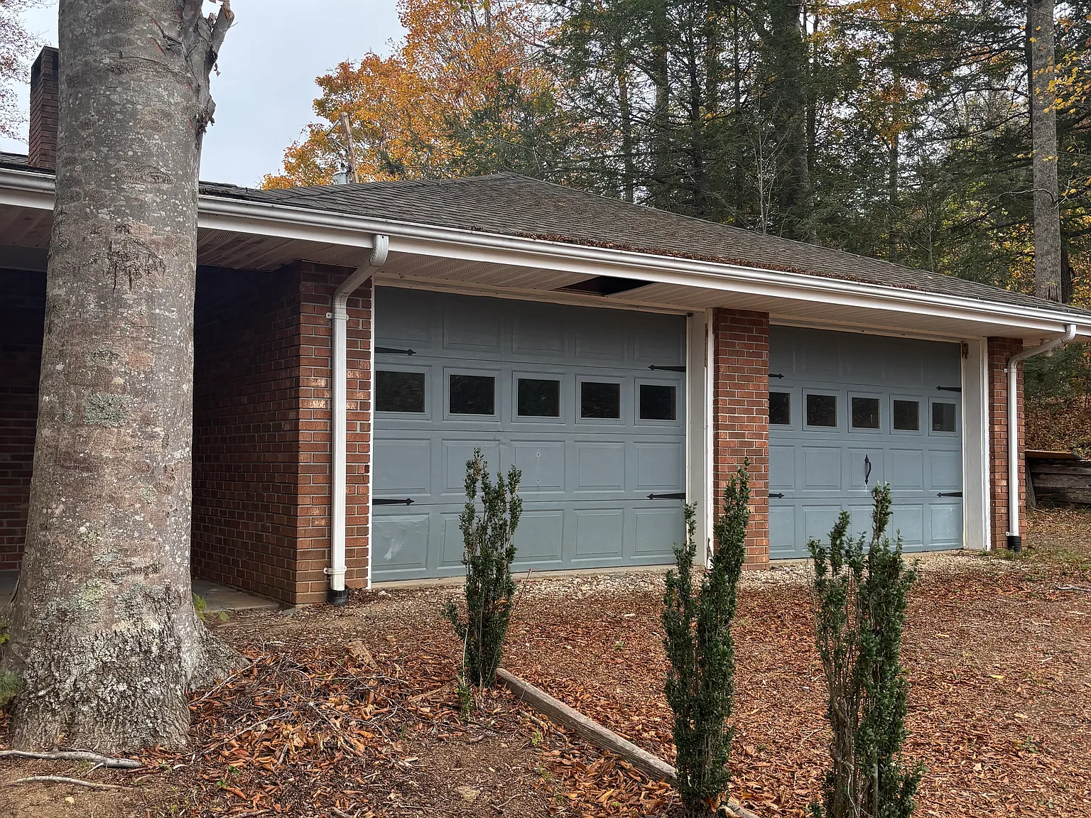 3 bed, 1793 sqft, $1,950 — Photo 3