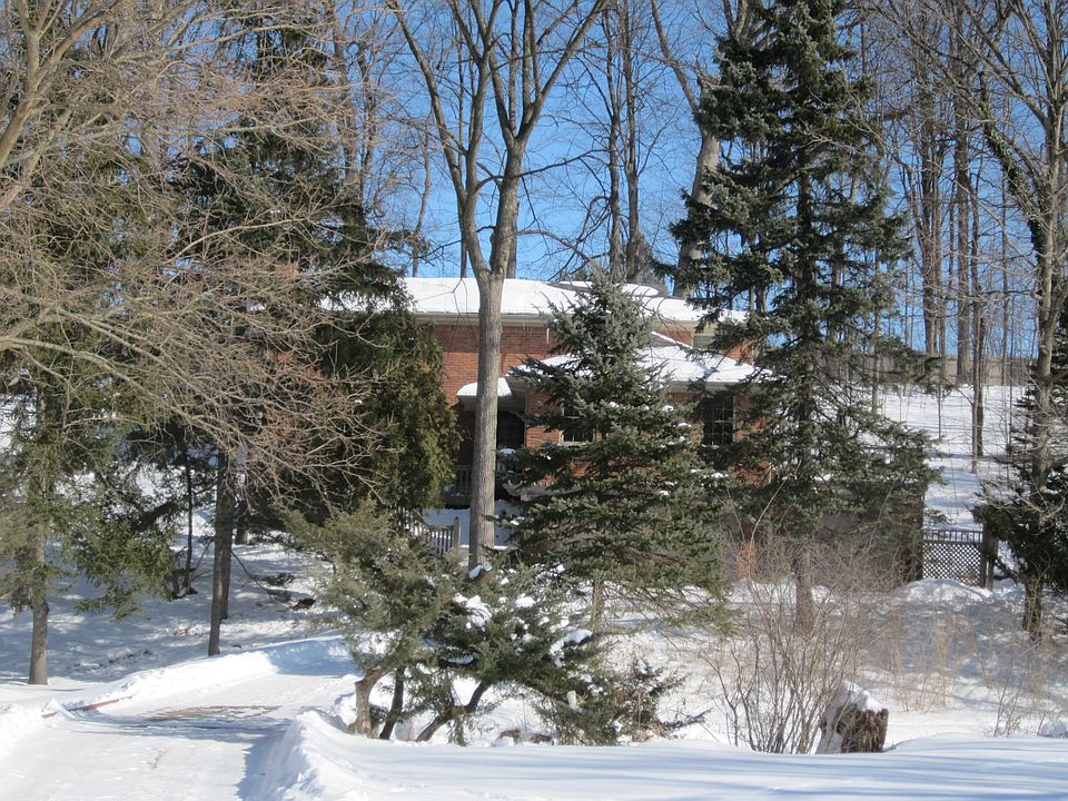 winter view