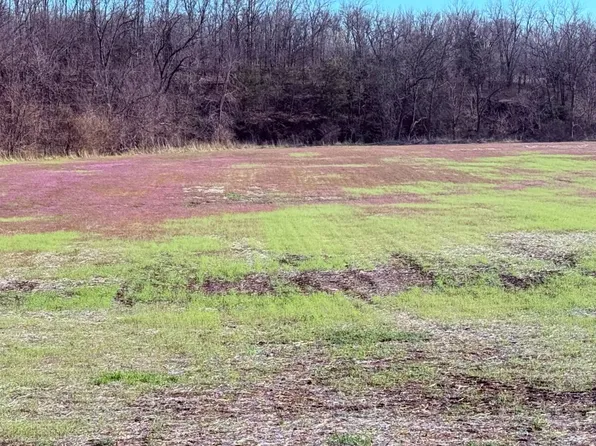 136 W 120th Ave, New Hampton, MO 64471