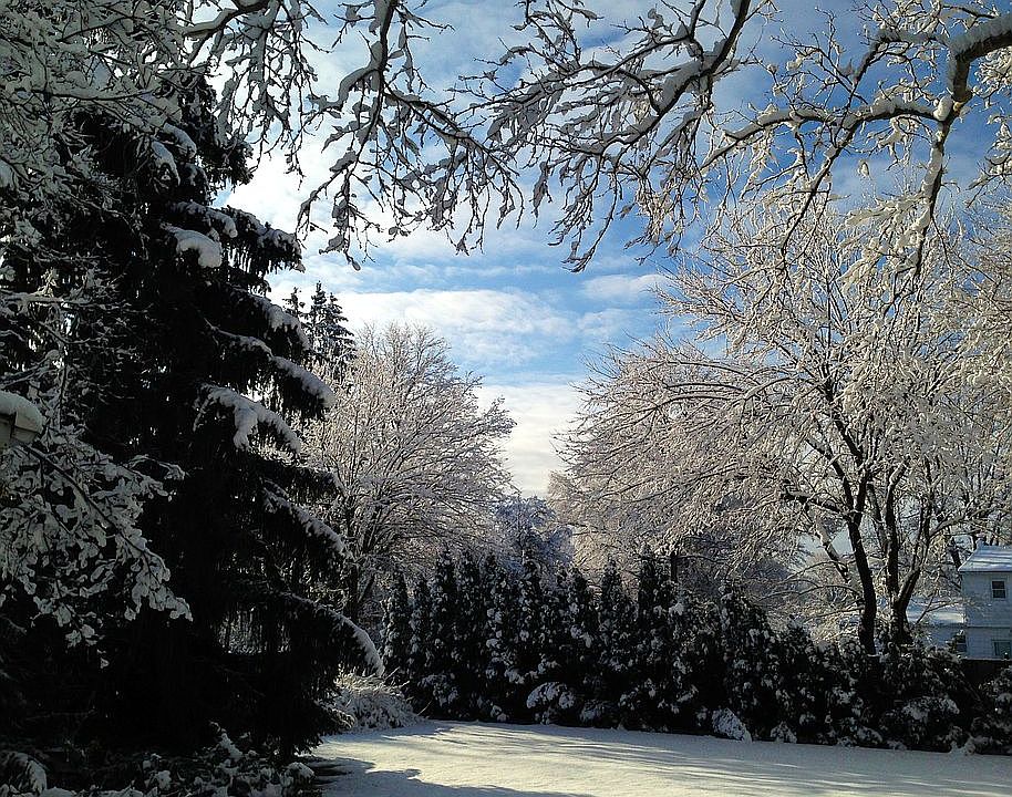 2nd image of 933 Queens Dr