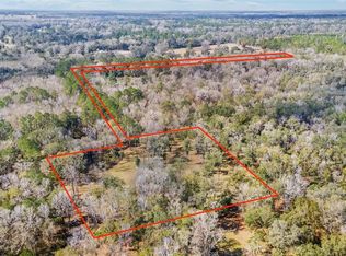NW 193rd St LOT 3, Micanopy, FL 32667