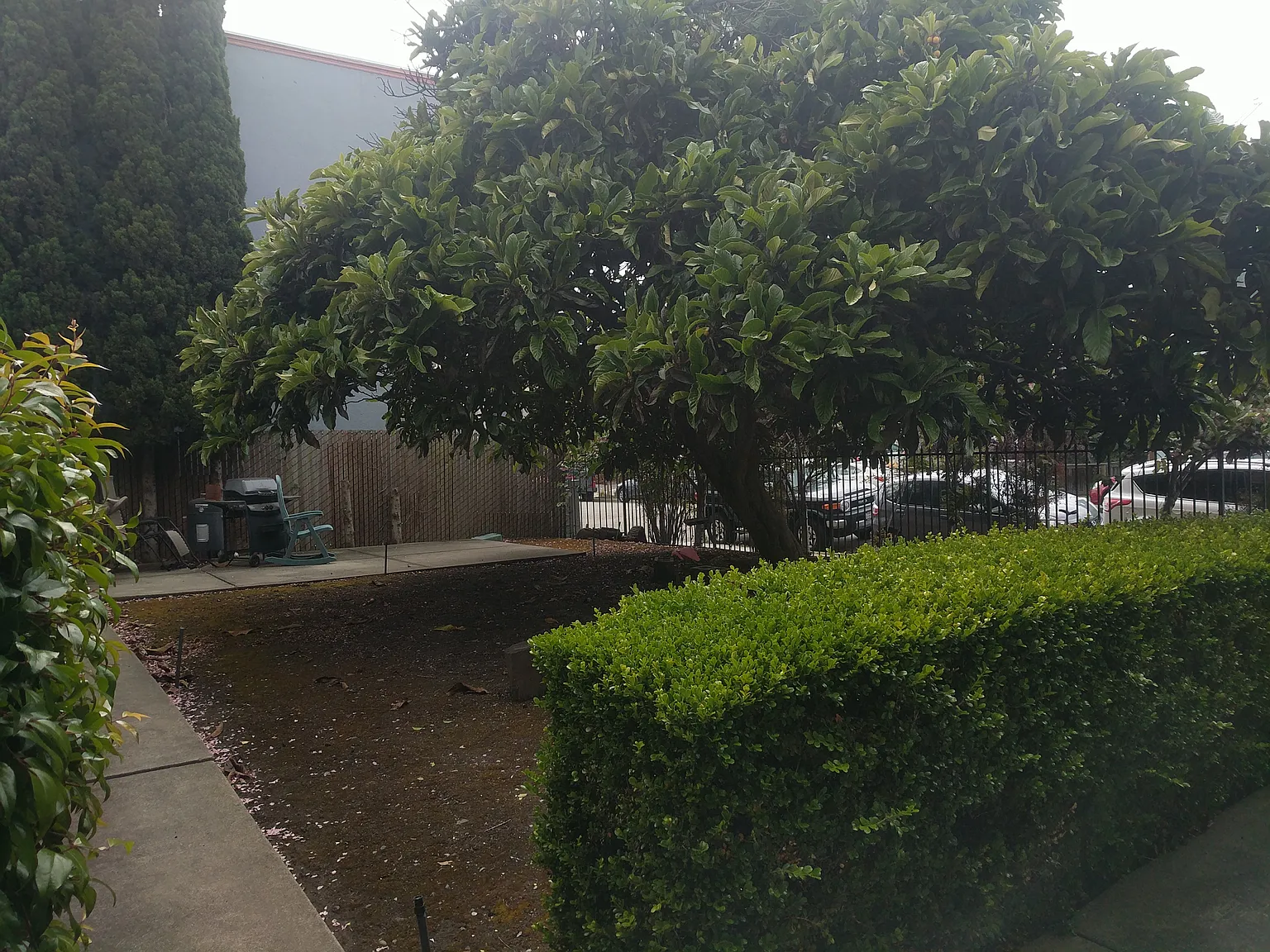 445 40th Street — Photo 3