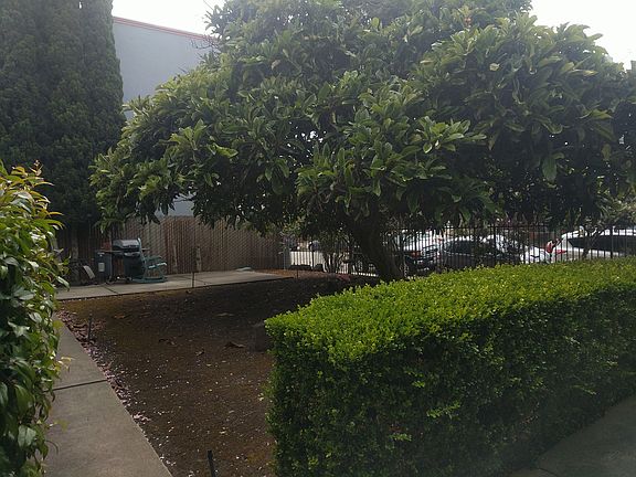 3rd image of 445 40th St APT 2