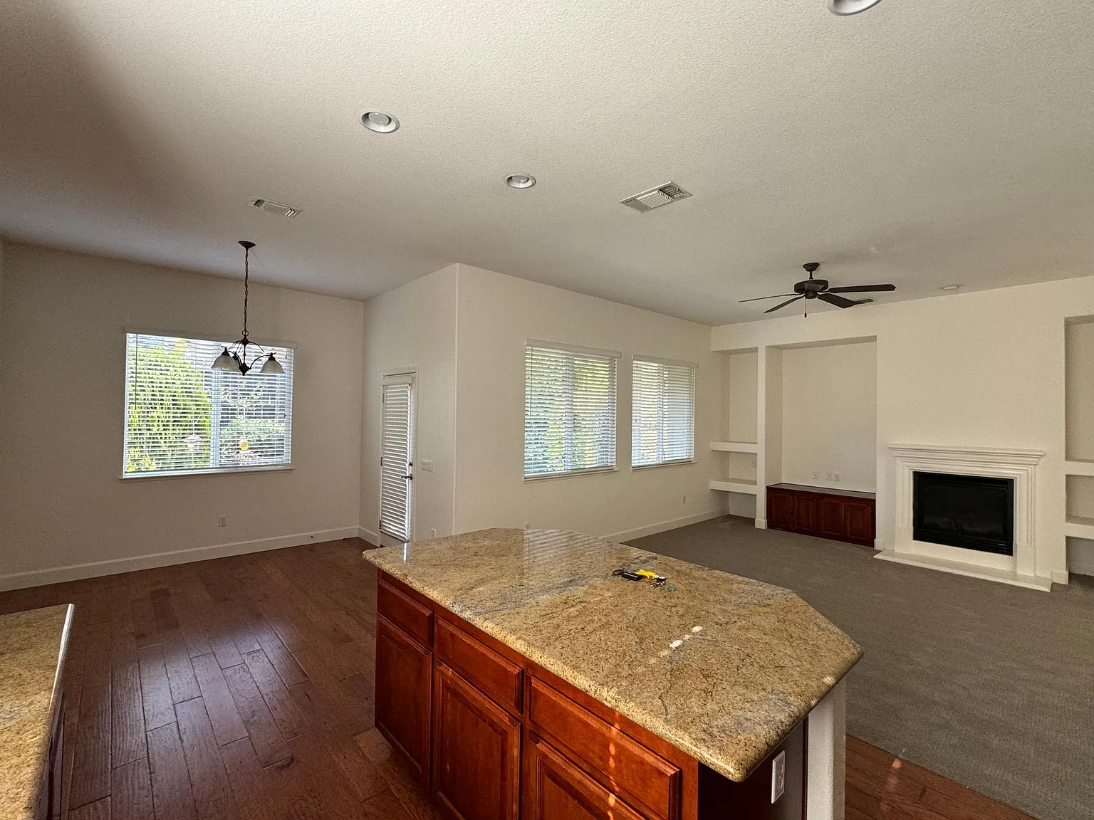 7729 Briarberry Way — Photo 4