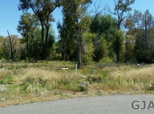545 NW 2nd St, Cedaredge, CO 81413