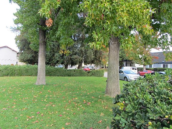 Large Association Park across the street - No through traffic except the Association - Park can be used for events by tenants.