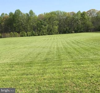 5051 Maple Branch Ln, Trappe, MD, 21673