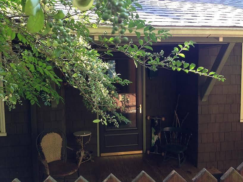 Front of the house