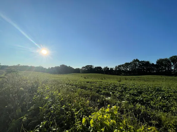 16th St, Hopkins, MI 49328